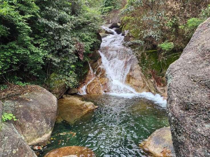 红树林逃生